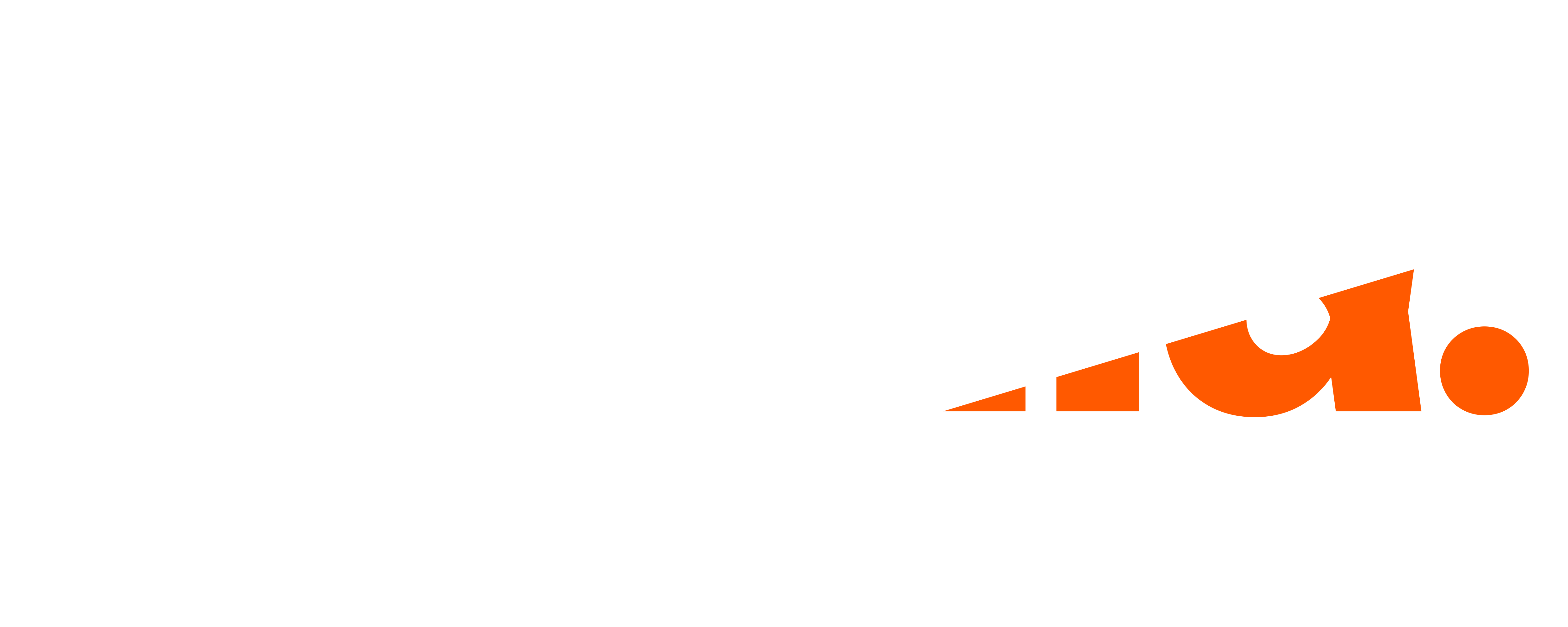 Logo webild